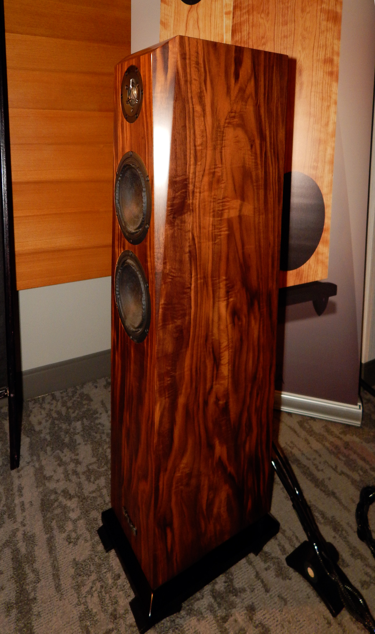 Gingko Audio, Salk Sound, Mc Gary Audio AXPONA 2022