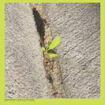 “Close-up On The Outside” Booker Stardrum