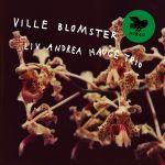 Liv Andrea Hauge Trio